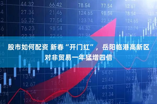 股市如何配资 新春“开门红”，岳阳临港高新区对非贸易一年猛增四倍