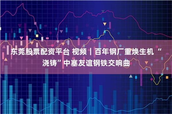 东莞股票配资平台 视频｜百年钢厂重焕生机 “浇铸”中塞友谊钢铁交响曲