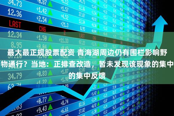 最大最正规股票配资 青海湖周边仍有围栏影响野生动物通行？当地：正排查改造，暂未发现该现象的集中反馈