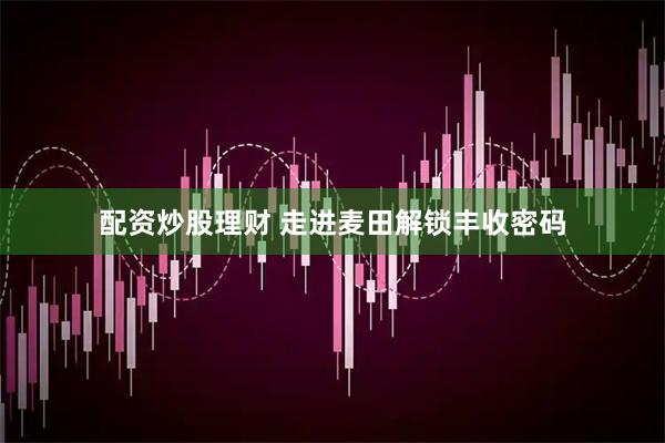 配资炒股理财 走进麦田解锁丰收密码